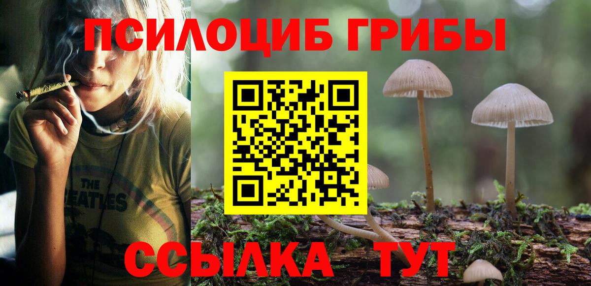 Нягань  Псилоцибиновые грибы мухоморы  Вход с VPN 